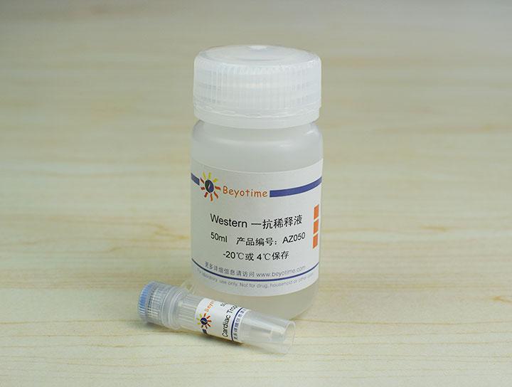 Cardiac Troponin T Rabbit Polyclonal Antibody